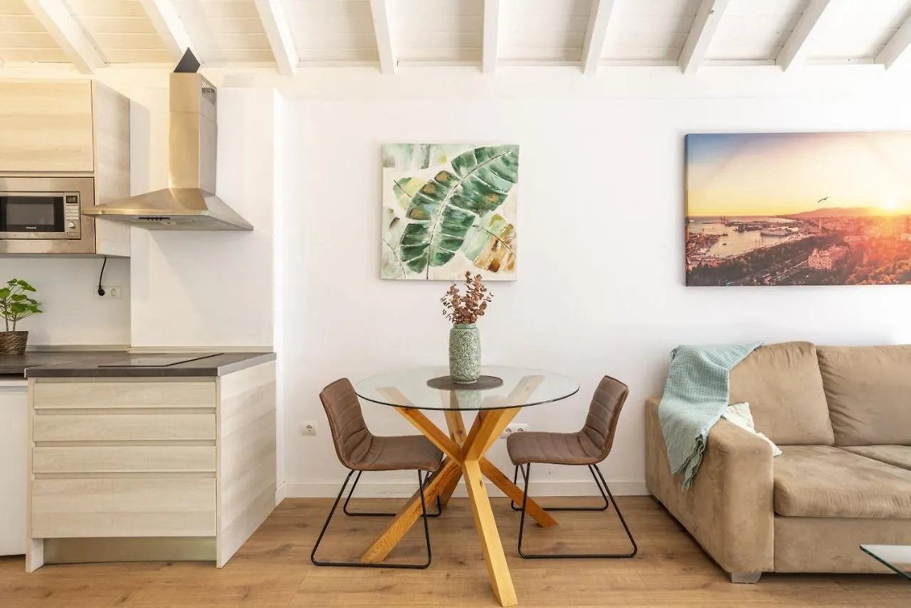 Urbe10 Terrace Constitucion 1 Bedroom Apartment Malaga